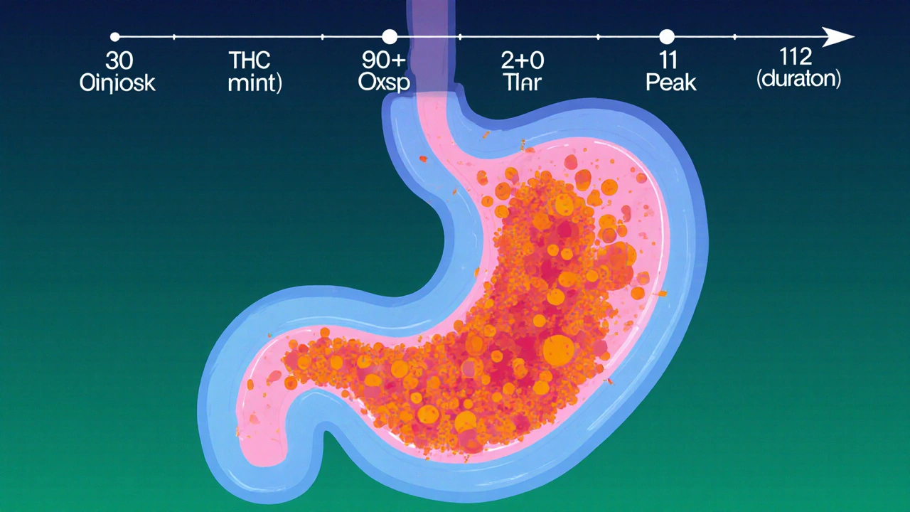 Abstrakte Darstellung der THC‑Umwandlung im Magen zu 11‑Hydroxy‑THC mit Zeitangaben.