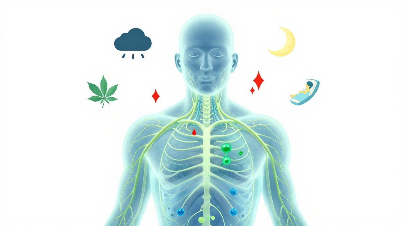 Glowendes Nervensystem mit CBD-Pflanzenmustern, die Stress und Entzündungen beruhigen.