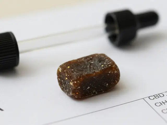 Wie viel CBD ist in Hash enthalten?