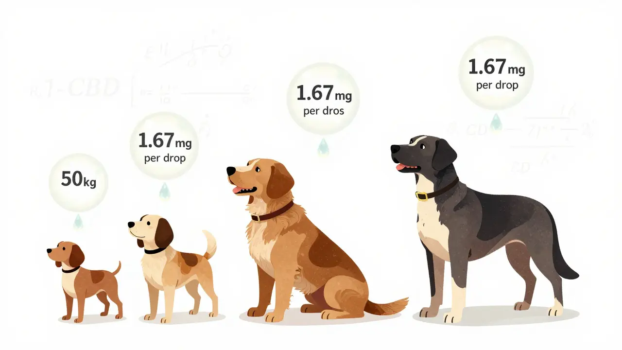 Drei Hunde unterschiedlicher Größen mit entsprechenden CBD-Dosen als schwebende Tropfen.