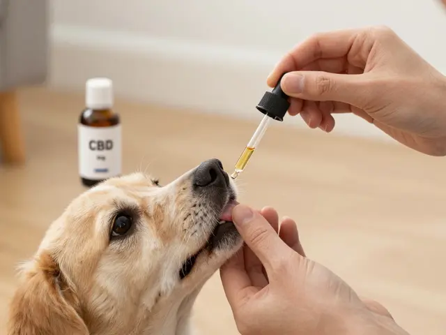 Wie viele Tropfen CBD-Öl mit 1000 mg darf ich meinem Hund geben?