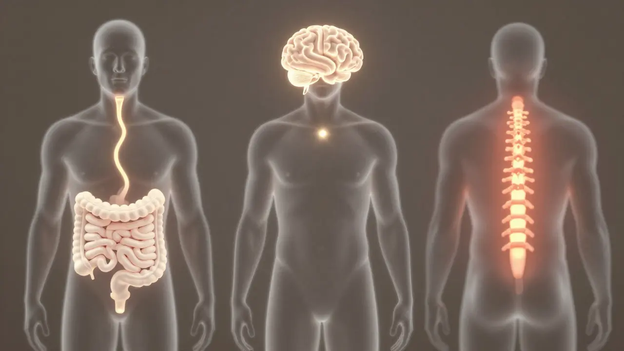 Drei durchscheinende Silhouetten zeigen, wie CBD den Körper bei Stress, Schmerz und Schlaf unterstützt.