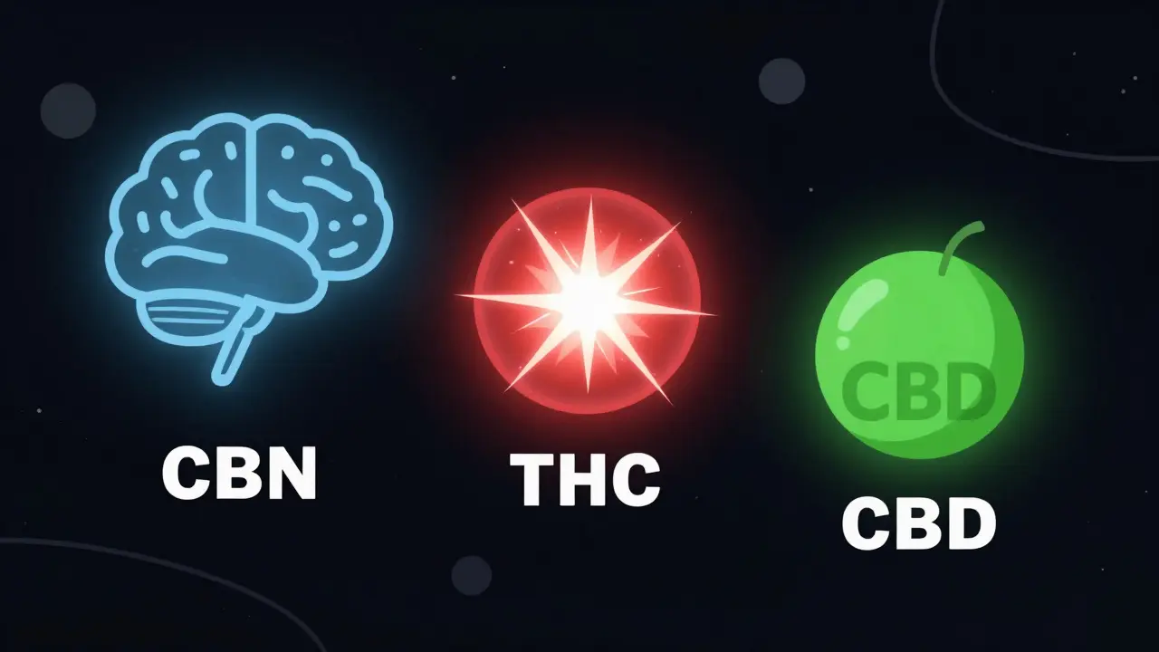 Vergleich der Cannabinoid-Moleküle CBN, THC und CBD mit unterschiedlicher Aktivität im Gehirn