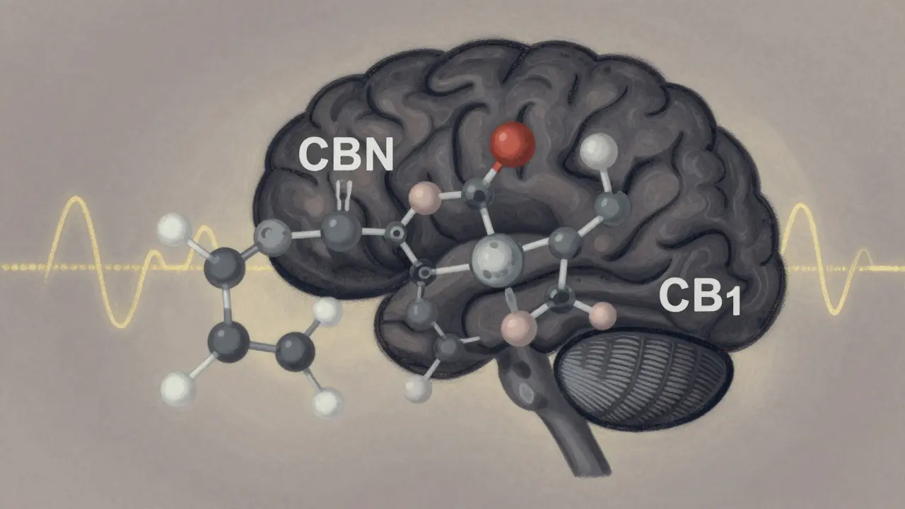 Molekulare Strukturen von CBN und CBD, die sanft mit Nervenrezeptoren im Gehirn interagieren, dargestellt als abstrakte, pastellige Wissenschaftsgrafik.