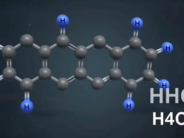 Warum hält HHC länger an als andere Cannabinoiden?