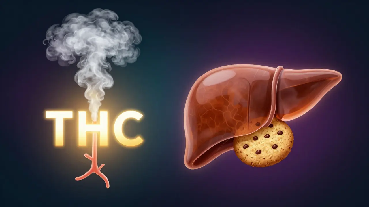 Konzeptuelle Darstellung der THC-Aufnahme über die Lunge im Vergleich zur Leber