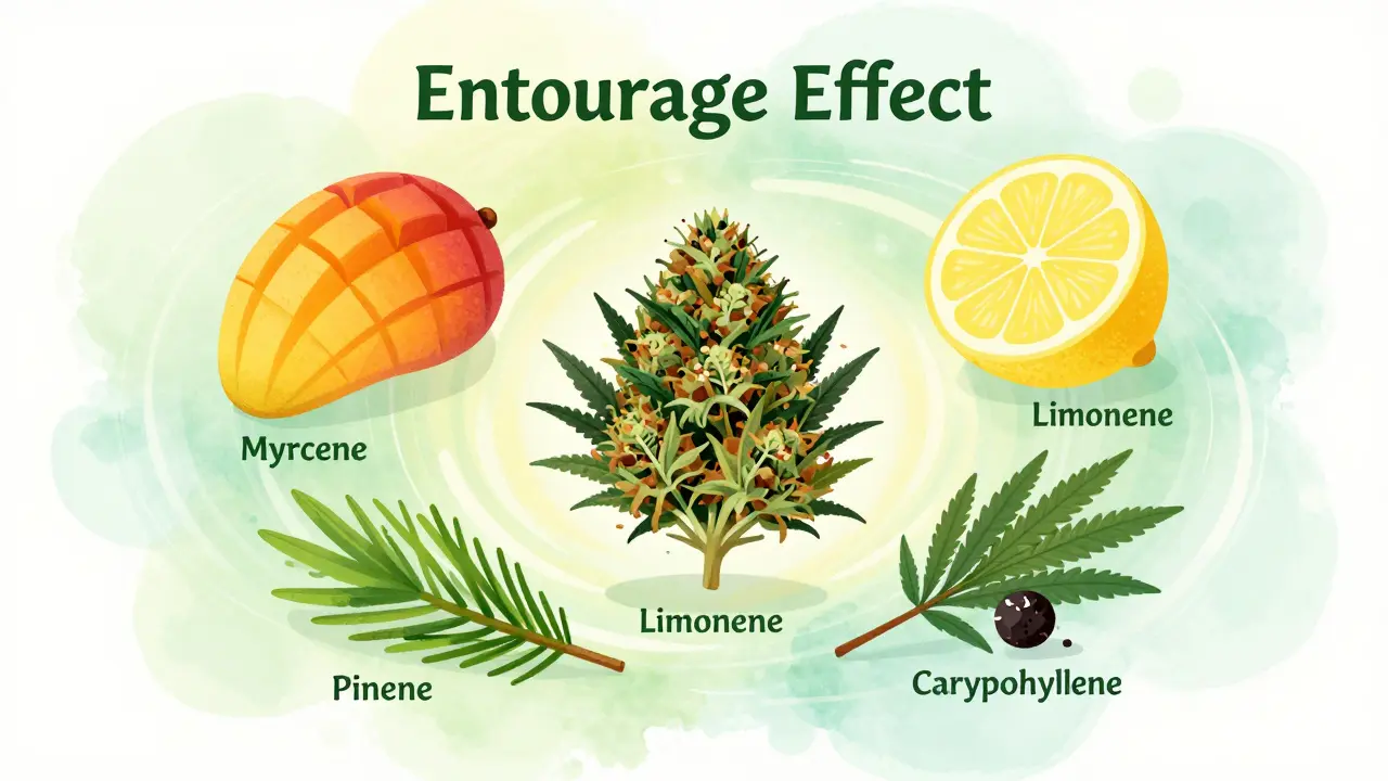Abstrakte Darstellung des Entourage-Effekts mit Mango, Zitrone, Kiefer und Pfeffer um eine Blüte.