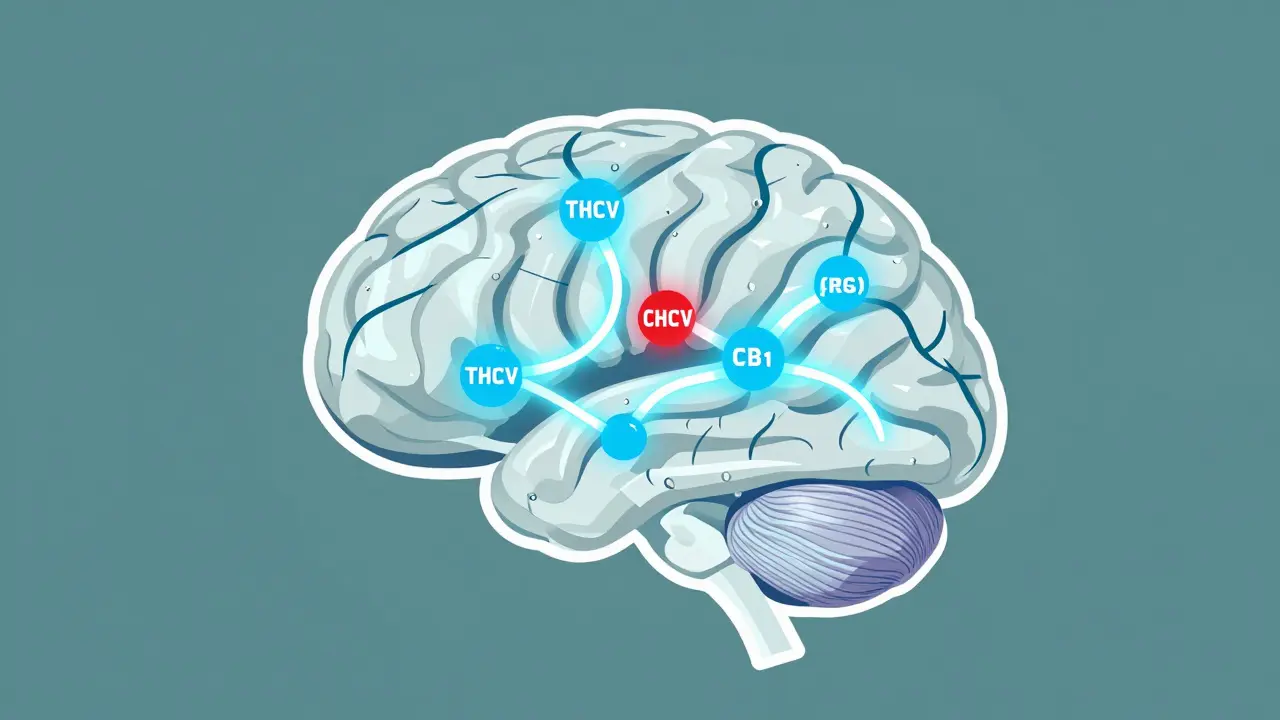 Stylisierte Darstellung des Gehirns mit neuronalen Signalen
