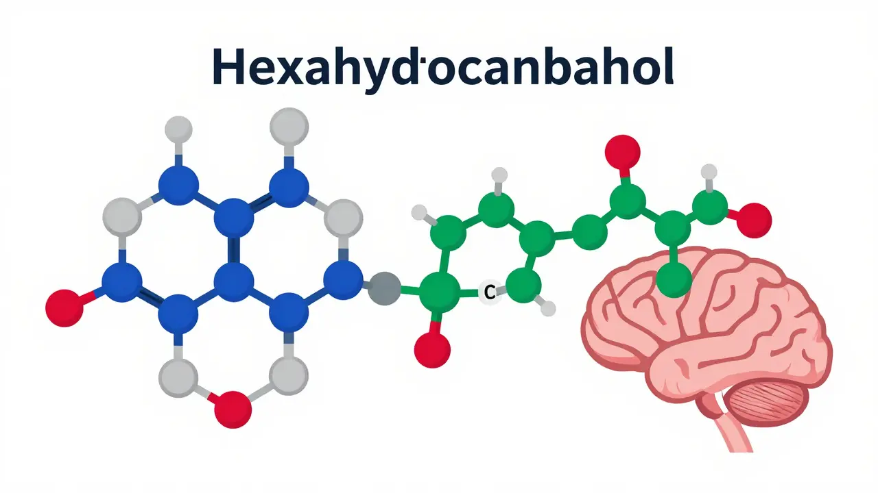 Wissenschaftliche Illustration der HHC-Molekülstruktur und Rezeptorbindung