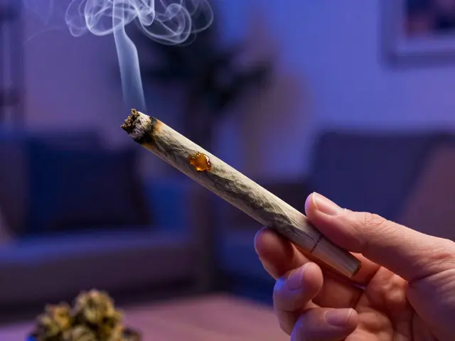 Was passiert, wenn du eine ganze CBD-Joint rauchst? Risiken und Wirkung